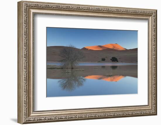 Rising Sun Catching the Summit of Towering Orange Sand Dunes with Reflections-Lee Frost-Framed Photographic Print