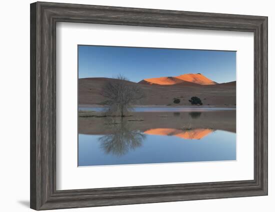 Rising Sun Catching the Summit of Towering Orange Sand Dunes with Reflections-Lee Frost-Framed Photographic Print