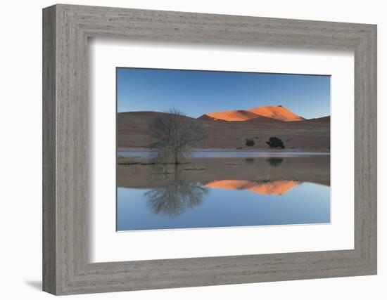 Rising Sun Catching the Summit of Towering Orange Sand Dunes with Reflections-Lee Frost-Framed Photographic Print