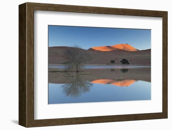 Rising Sun Catching the Summit of Towering Orange Sand Dunes with Reflections-Lee Frost-Framed Photographic Print