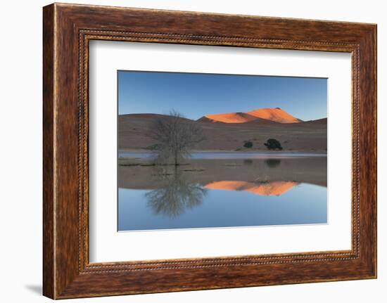 Rising Sun Catching the Summit of Towering Orange Sand Dunes with Reflections-Lee Frost-Framed Photographic Print