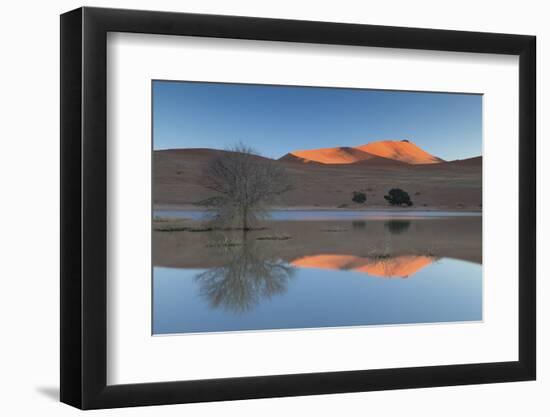 Rising Sun Catching the Summit of Towering Orange Sand Dunes with Reflections-Lee Frost-Framed Photographic Print