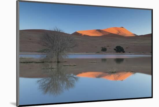 Rising Sun Catching the Summit of Towering Orange Sand Dunes with Reflections-Lee Frost-Mounted Photographic Print