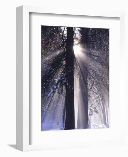 Rising Sun, Yosemite Valley, Yosemite National Park, Sierra Nevada, California-Christopher Bettencourt-Framed Photographic Print