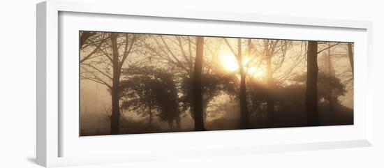 Rising Sun-Bill Philip-Framed Giclee Print