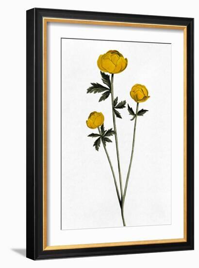 Rising Triplets-Marcus Prime-Framed Art Print