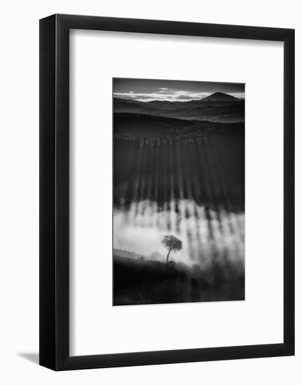 Rising up-Peter Svoboda, MQEP-Framed Photographic Print