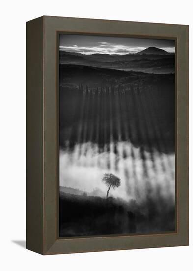 Rising up-Peter Svoboda, MQEP-Framed Premier Image Canvas