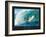 Risk - Surfer-unknown unknown-Framed Photo