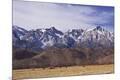 Premium Photographic Print