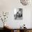 Rita Hayworth, 1946-null-Photo displayed on a wall