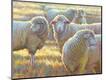 Premium Giclee Print