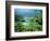 Ritsurin Park, Takamatsu, Shikoku, Japan-Dave Bartruff-Framed Photographic Print