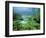 Ritsurin Park, Takamatsu, Shikoku, Japan-Dave Bartruff-Framed Photographic Print