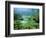 Ritsurin Park, Takamatsu, Shikoku, Japan-Dave Bartruff-Framed Photographic Print