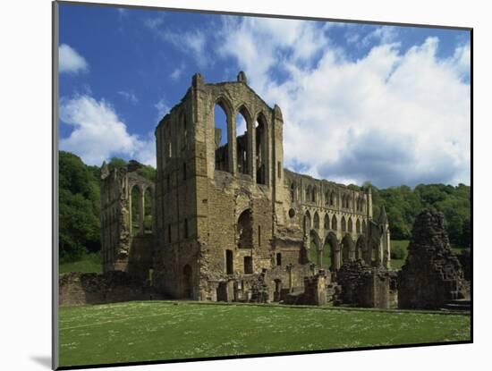 Riveaulx Abbey, Yorkshire, England, United Kingdom, Europe-Woolfitt Adam-Mounted Photographic Print