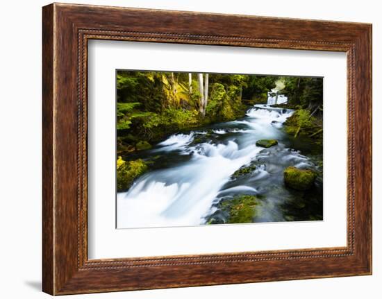 River amidst forest, Portland, Oregon, USA-Panoramic Images-Framed Photographic Print