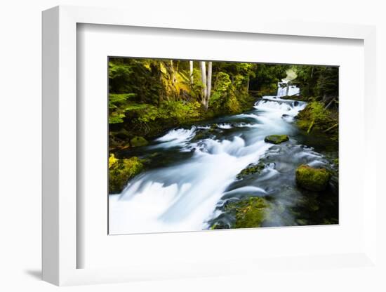 River amidst forest, Portland, Oregon, USA-Panoramic Images-Framed Photographic Print