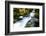 River amidst forest, Portland, Oregon, USA-Panoramic Images-Framed Photographic Print