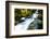 River amidst forest, Portland, Oregon, USA-Panoramic Images-Framed Photographic Print