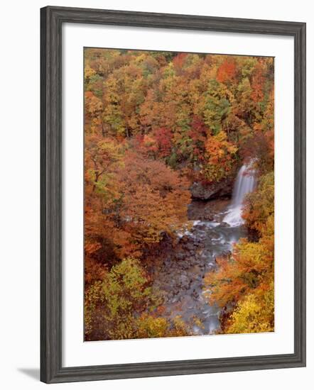 River and Autumn Leaves-null-Framed Photographic Print