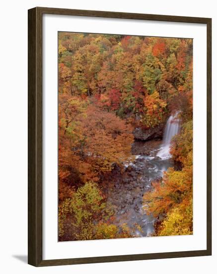 River and Autumn Leaves-null-Framed Photographic Print