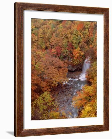 River and Autumn Leaves-null-Framed Photographic Print