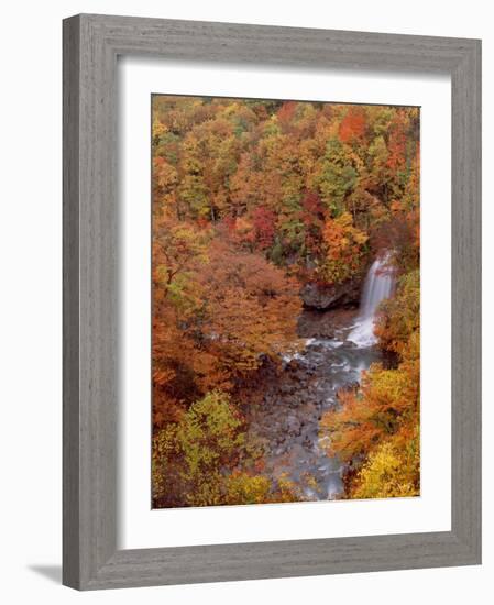 River and Autumn Leaves-null-Framed Photographic Print