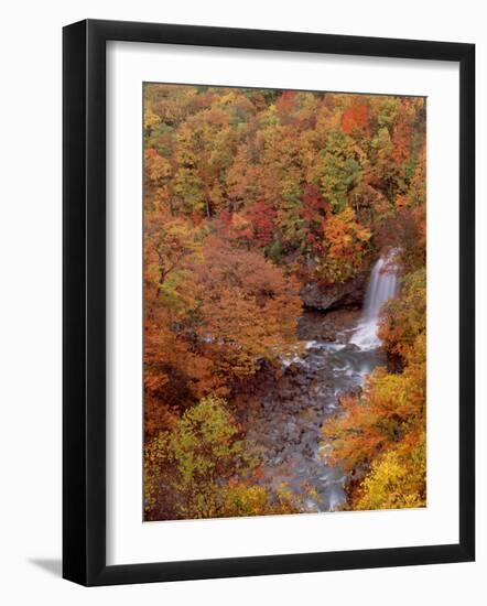 River and Autumn Leaves-null-Framed Photographic Print