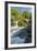 River and Stone Bridge, Rize, Black Sea Region of Turkey-Ali Kabas-Framed Photographic Print