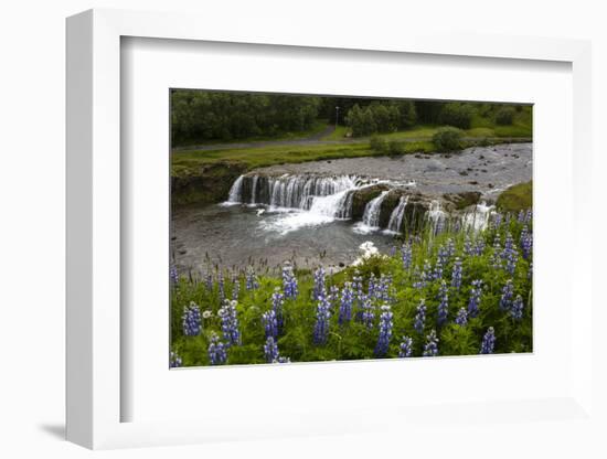 River and Waterfall in Hveragerdi, Reykjanes Peninsula, Iceland, Polar Regions-Yadid Levy-Framed Photographic Print