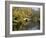 River Avon in Botanic Gardens, Christchurch, Canterbury, South Island, New Zealand, Pacific-Nick Servian-Framed Photographic Print