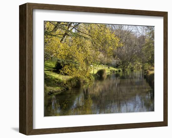 River Avon in Botanic Gardens, Christchurch, Canterbury, South Island, New Zealand, Pacific-Nick Servian-Framed Photographic Print