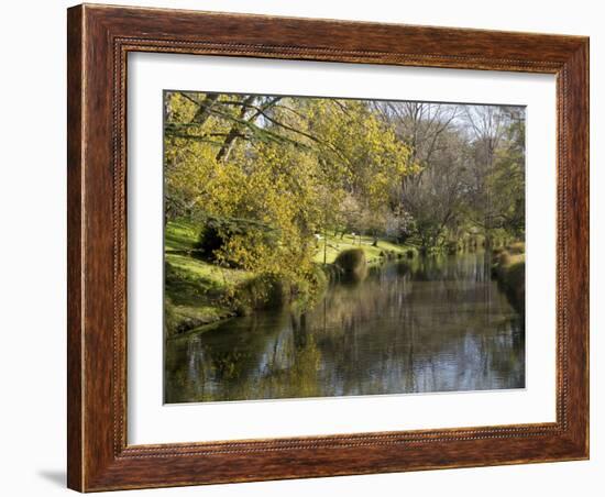 River Avon in Botanic Gardens, Christchurch, Canterbury, South Island, New Zealand, Pacific-Nick Servian-Framed Photographic Print