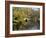 River Avon in Botanic Gardens, Christchurch, Canterbury, South Island, New Zealand, Pacific-Nick Servian-Framed Photographic Print