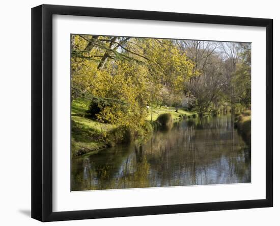 River Avon in Botanic Gardens, Christchurch, Canterbury, South Island, New Zealand, Pacific-Nick Servian-Framed Photographic Print