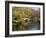 River Avon in Botanic Gardens, Christchurch, Canterbury, South Island, New Zealand, Pacific-Nick Servian-Framed Photographic Print