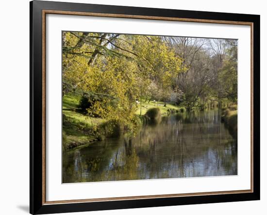 River Avon in Botanic Gardens, Christchurch, Canterbury, South Island, New Zealand, Pacific-Nick Servian-Framed Photographic Print