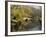 River Avon in Botanic Gardens, Christchurch, Canterbury, South Island, New Zealand, Pacific-Nick Servian-Framed Photographic Print