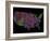 River Basins of the US in Rainbow Colours-Grasshopper Geography-Framed Giclee Print