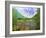 River Bend-Allan Friedlander-Framed Art Print