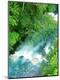 Premium Photographic Print
