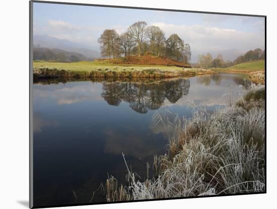 River Brathay in Winter, Near Elterwater, Lake District, Cumbria, England, United Kingdom-Steve & Ann Toon-Mounted Photographic Print