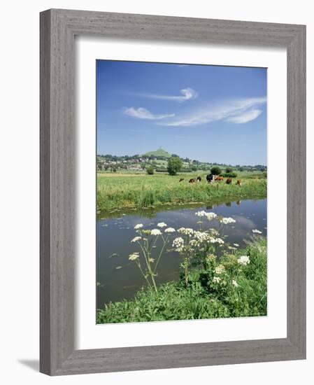 River Brue with Glastonbury Tor in the Distance, Somerset, England, United Kingdom-Chris Nicholson-Framed Photographic Print