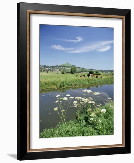 River Brue with Glastonbury Tor in the Distance, Somerset, England, United Kingdom-Chris Nicholson-Framed Photographic Print