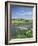 River Brue with Glastonbury Tor in the Distance, Somerset, England, United Kingdom-Chris Nicholson-Framed Photographic Print