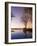 River Club Lodge, Sunset on Zambesi River, Zambia, Africa-Pitamitz Sergio-Framed Photographic Print