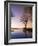 River Club Lodge, Sunset on Zambesi River, Zambia, Africa-Pitamitz Sergio-Framed Photographic Print