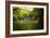 River Cottage in Summer-Jai Johnson-Framed Giclee Print