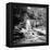 River Dee 1952-Staff-Framed Premier Image Canvas